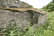 _DSC5949.jpg