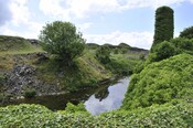 _DSC5955.jpg