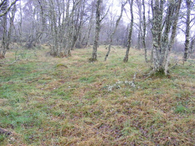 Picture 003.jpg