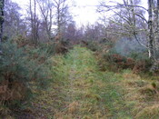 Picture 004.jpg