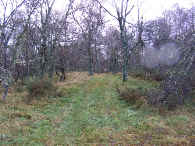 Picture 005.jpg