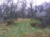 Picture 005.jpg