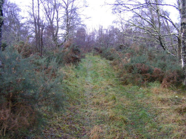 Picture 006.jpg