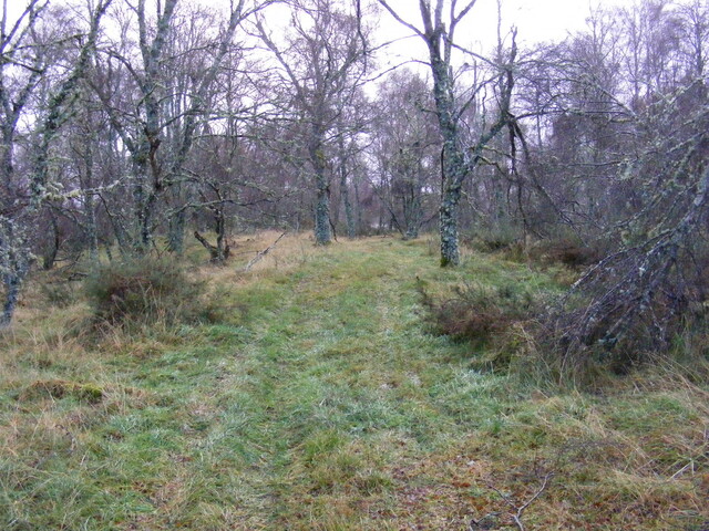 Picture 007.jpg