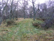 Picture 007.jpg