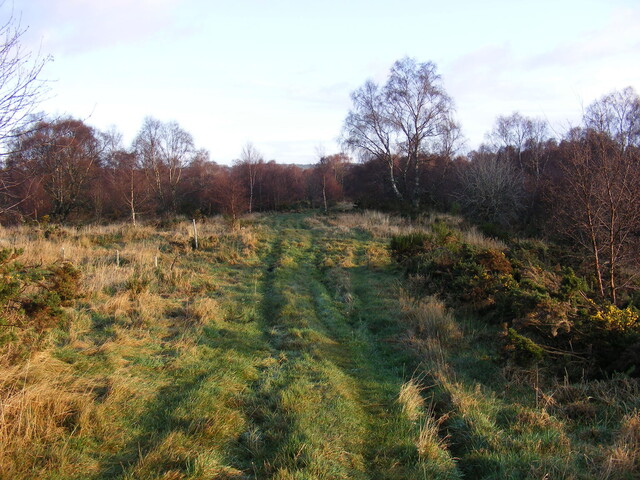 Picture 008.jpg