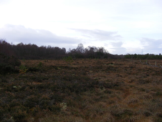 Picture 010.jpg
