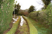 DSC_0005.jpg