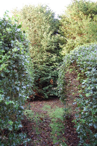 DSC_0007.jpg