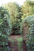 DSC_0007.jpg
