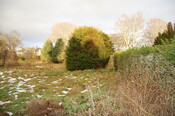 DSC_0009.jpg