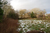 DSC_0011.jpg