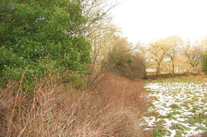 DSC_0012.jpg