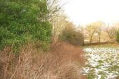 DSC_0012.jpg