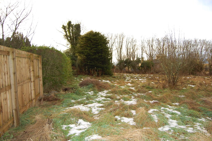 DSC_0013.jpg