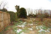DSC_0013.jpg