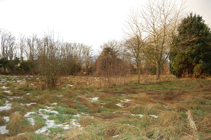 DSC_0014.jpg