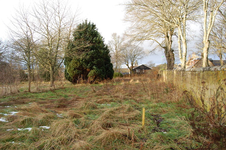 DSC_0015.jpg