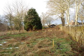 DSC_0015.jpg
