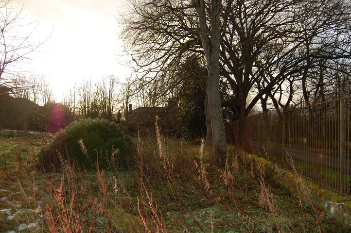 DSC_0016.jpg