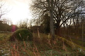 DSC_0016.jpg