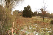 DSC_0017.jpg
