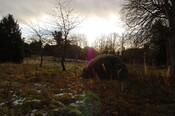 DSC_0019.jpg