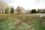 DSC_0023.jpg