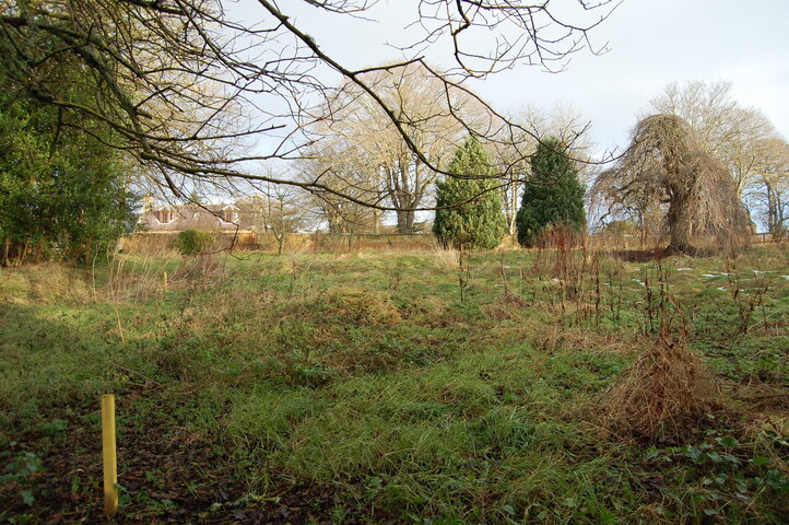 DSC_0024.jpg