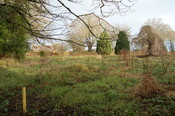 DSC_0024.jpg