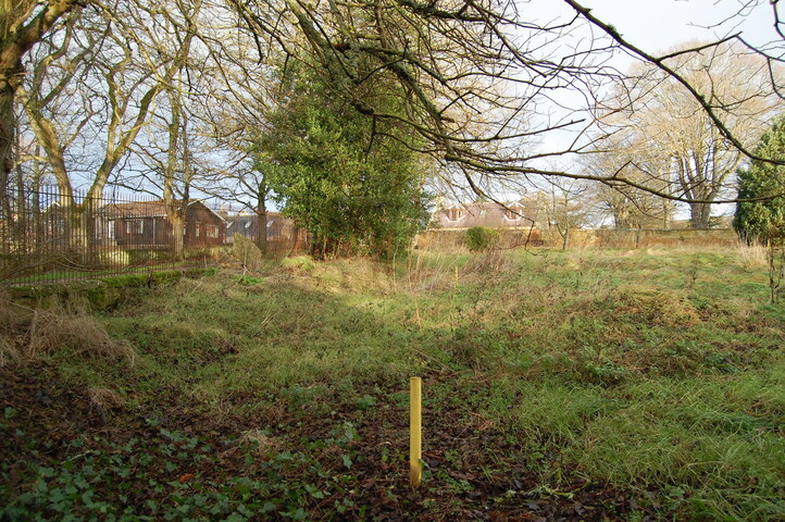 DSC_0025.jpg