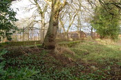 DSC_0026.jpg