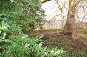 DSC_0027.jpg