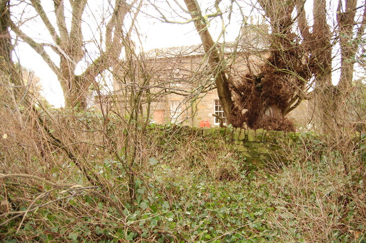 DSC_0028.jpg