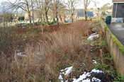 DSC_0031.jpg