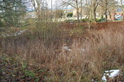 DSC_0032.jpg