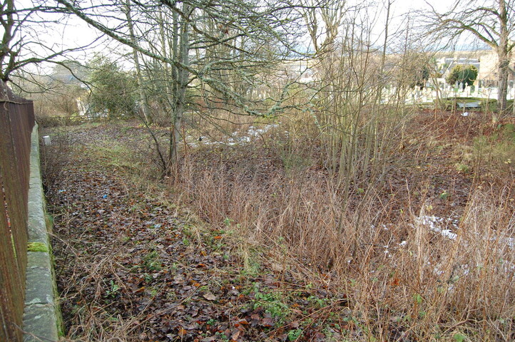 DSC_0033.jpg