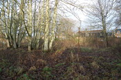 DSC_0037.jpg
