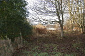 DSC_0039.jpg