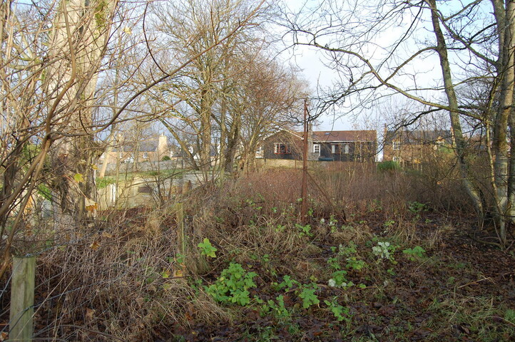 DSC_0040.jpg