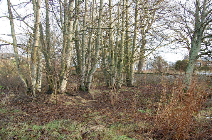 DSC_0042.jpg