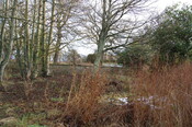 DSC_0043.jpg