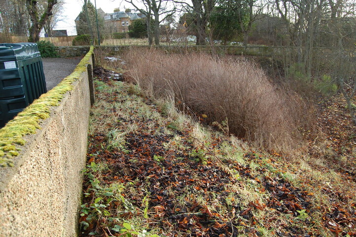 DSC_0046.jpg
