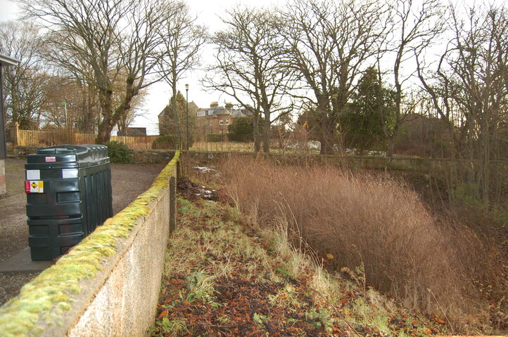 DSC_0047.jpg