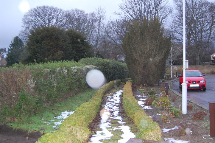 DSC_0076.jpg
