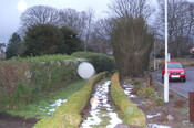DSC_0076.jpg
