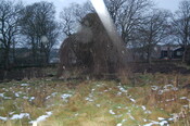 DSC_0078.jpg