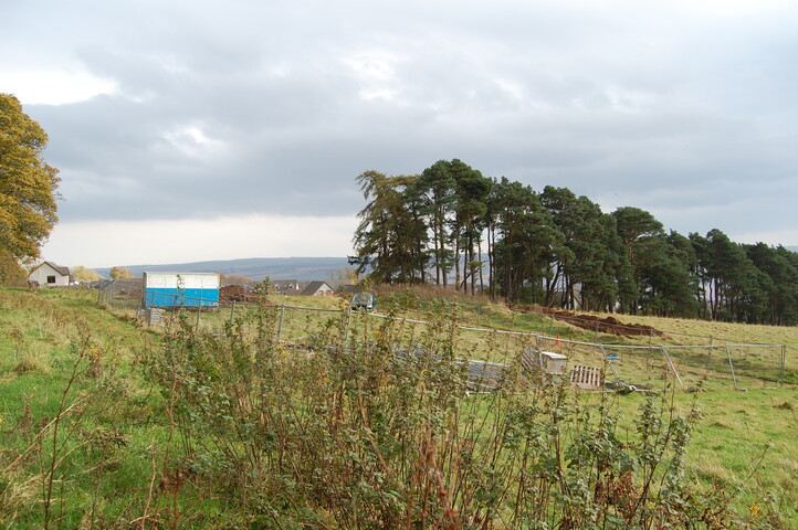 DSC_0062.JPG