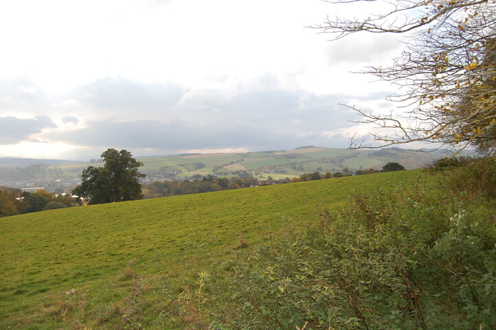 DSC_0066.JPG