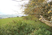 DSC_0067.JPG